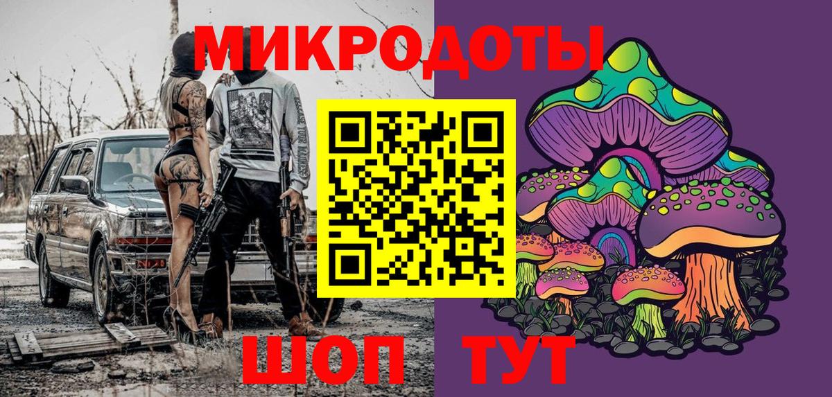 Избербаш  Псилоцибиновые грибы Cubensis  Вход с VPN 