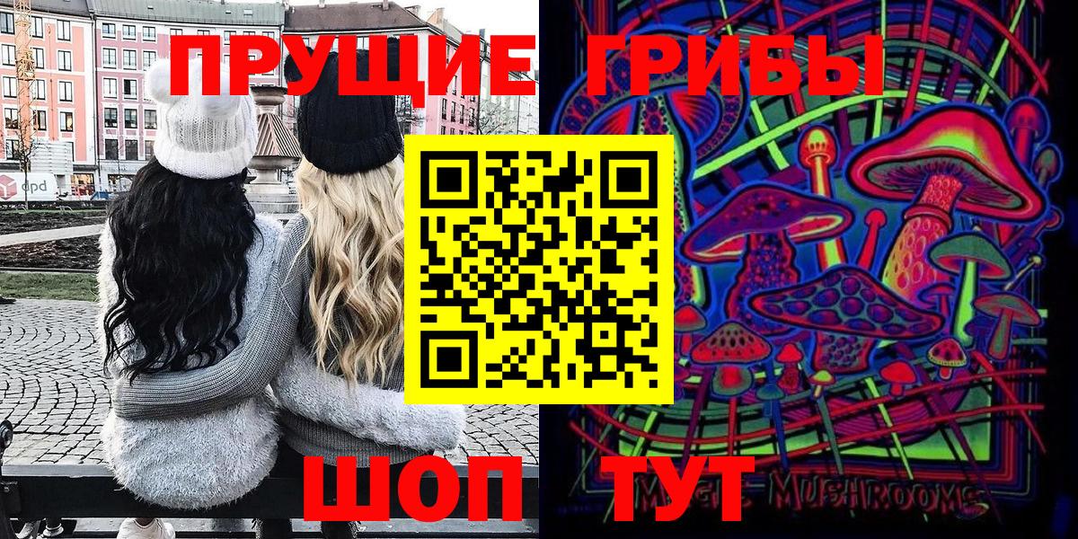 Галлюциногенные грибы Psilocybine cubensis Избербаш